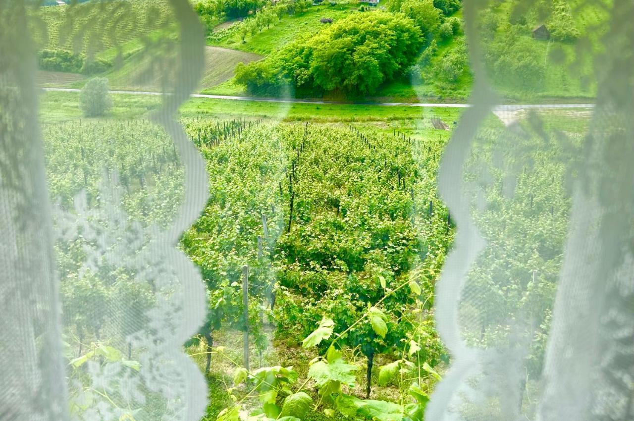 Wine Paradise Sveti Ivan Zelina Exterior photo