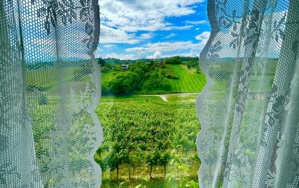 Wine Paradise Sveti Ivan Zelina Exterior photo